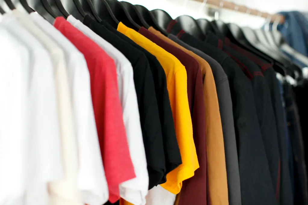 unsplash_tvG4WvjgsEY_t shirt.webp